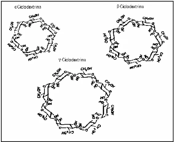 Figura 11- Estrutura molecular das ciclodextrinas alfa, beta e gama, respectivamente   (VIEIRA, 1999) 