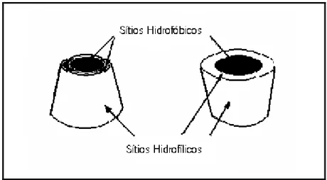 Figura 12- Estrutura externa da CDs são hidrofílicas e internamente são hidrofóbicas  (ANDERSON, 2006) 