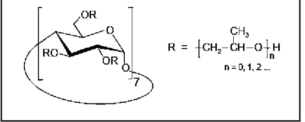 Figura 16 - Estrutura química da Cavasol W7 HP 