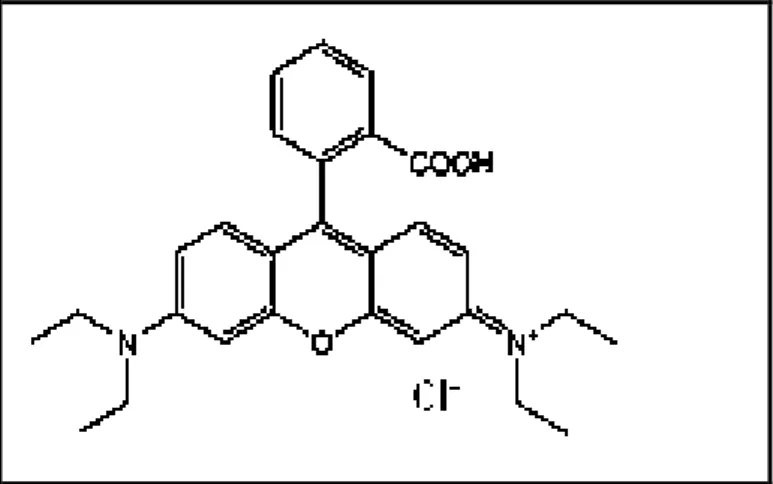 Figura 17- Estrutura química da Rodamina B 