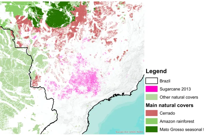 Figure 1: Sugarcane and remaining forests in Brazil