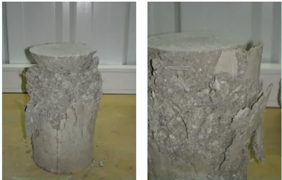 Figure 3.17 shows the typical failure mode occurred in the compression tests, where the  confinement provided by the fibres is well evidenced, as well as a good fibre distribution into the  concrete.