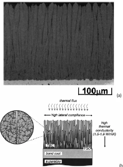 Fig. 1.7.  Typical  microstructure  of  an  EB-PVD  TBC: :  (a)  optical  micrograph  [39],  (b)  schematic  illustration  of  the  columnar microstructure [40]
