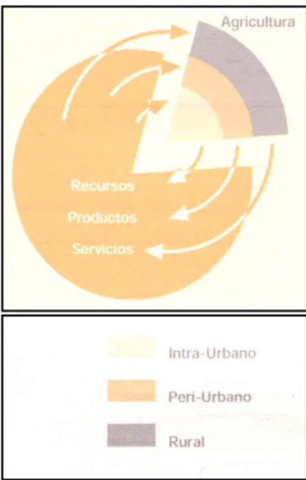 Figura 14 – Relações da Agricultura Urbana,  Adaptado da REVISTA DE  AGRICULTURA URBANA, N.º 1, 2000 