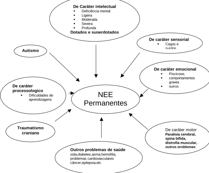 Figura 2: Classificação da NEE Permanentes (Correia, L.M. 1999)