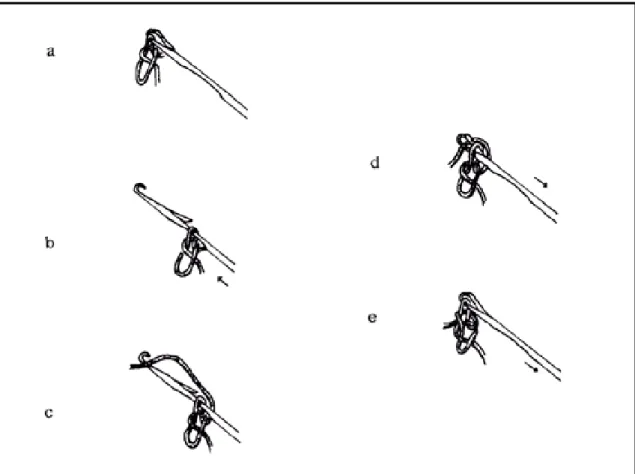 Figura 2.7 – Processo de uma laçada normal  (17) 