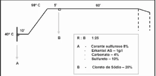 Figura 3.7 – Processo de tingimento – Preto sulfuroso  (5) 