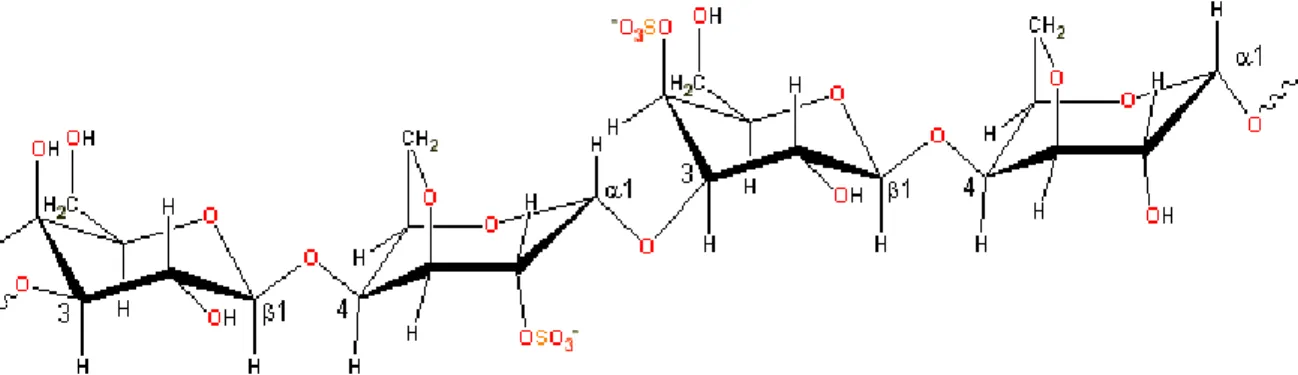 Figure  1-4.  The  main  carrageenan  chain  consists  of  alternating  3-linked-β -D-galactopyranose  and  4- 4-linked- -D-galactopyranose units
