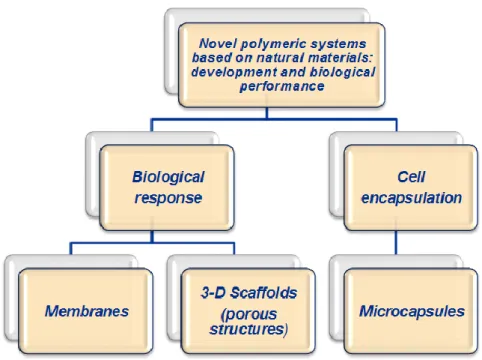 Figure 1-8. Schematic representation of the research approach followed in this thesis