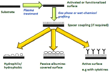 Figure 1-13. Approaches for enhancement of cell growth on surfaces. Adapted from [145]
