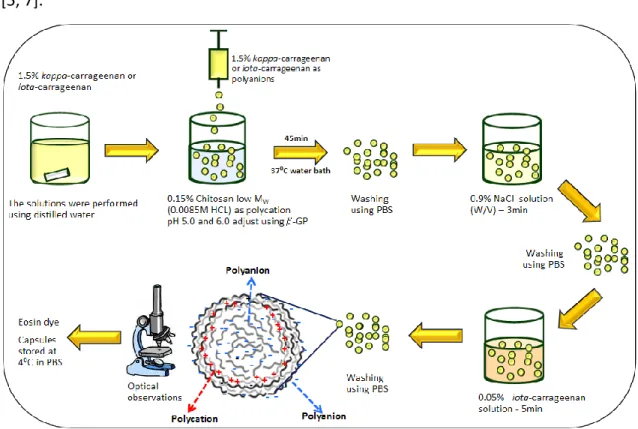 Figure  2-3.  Graphical  representation  of  the  procedure  used  for  the  capsules  development  using  oppositely charged polysaccharides (carrageenan as polyanion and chitosan as polycation)