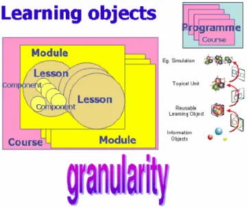 figura seguinte ilustra a questão da granularidade, desde o seu elemento mínimo um  asset  ou  objecto de informação até ao curso e programa inteiro: 