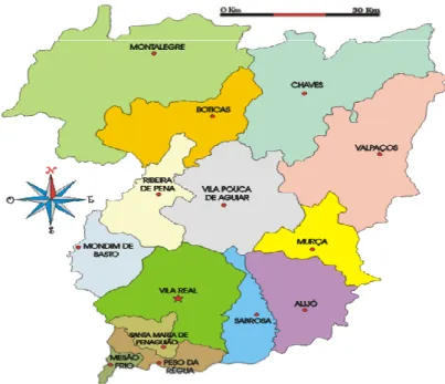 Figura 14: Distrito de Vila Real 