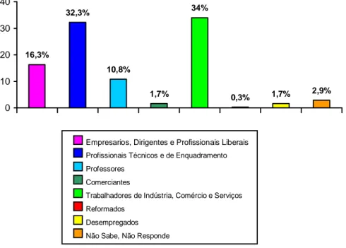 Gráfico V - Constituição da Amostra Segundo a Profissão dos Pais 