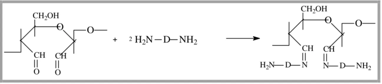 Figura 3-4: Reacção para a fixação de corantes reactivos com grupos alquilami- alquilami-na em celulose oxidada (Lewis et al., 1999)