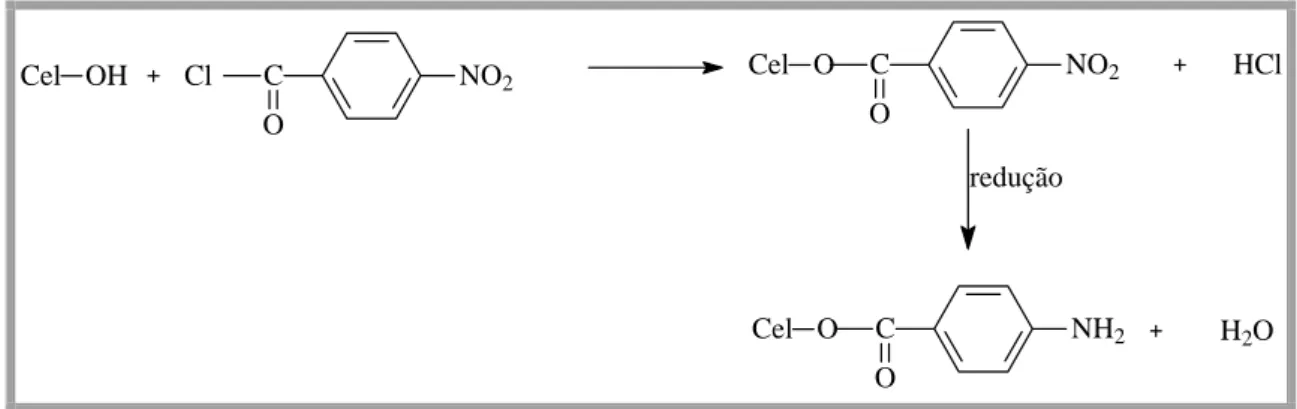 Figura 3-5: Reacção de nitração do algodão seguido de redução para obtenção  de celulose com amina secundária (Karrer et al., 2000).