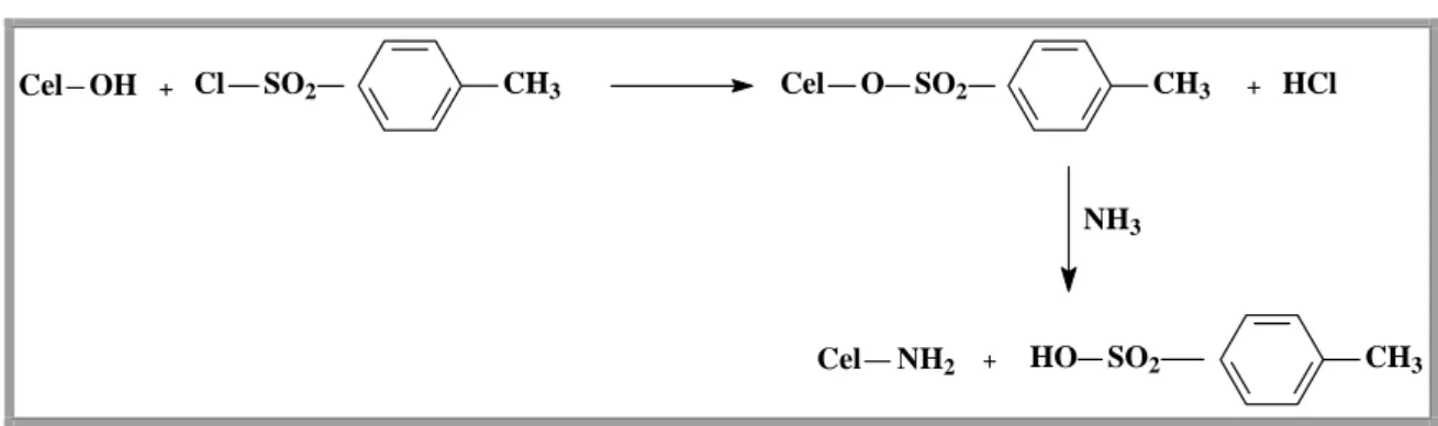 Figura 3-9: Reacção de tosilação do algodão seguida de substituição nucleofílica  pela amina primária (Karrer et al., 1926)