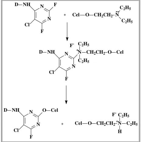 Figura 3-13: Reacção covalente entre grupo reactivo do corante com a celulose,  em condições neutras ou levemente ácidas (El-Alfy et al., 1997)