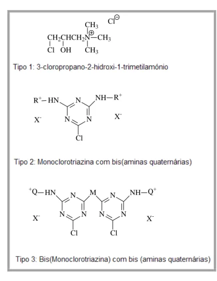 Figura 3-17: Estrutura química dos três tipos de compostos quaternários de  amónio. 