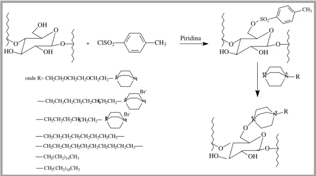 Figura 4-6: Reacção de tosilação e posterior fixação do sal monocatiónico na  celulose (Abel et al., 2002, 2003)