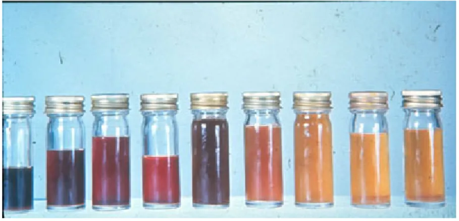 Figura 1 – Urina de um doente com HPN. À esquerda encontra-se a primeira urina do dia e para a direita, amostras de urina durante  o dia