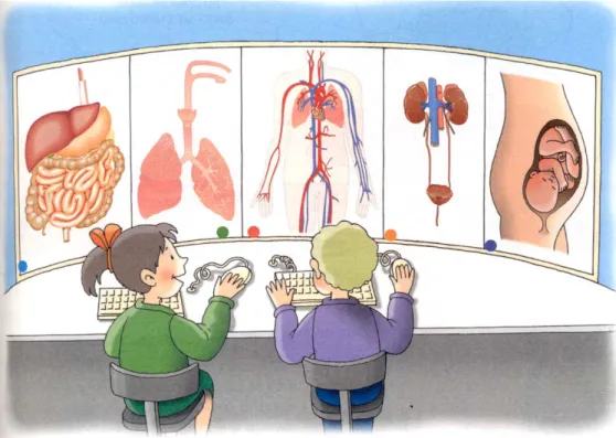 Figura 3.1.10: Imagem que introduz o estudo dos diferentes sistemas biológicos humanos no manual 