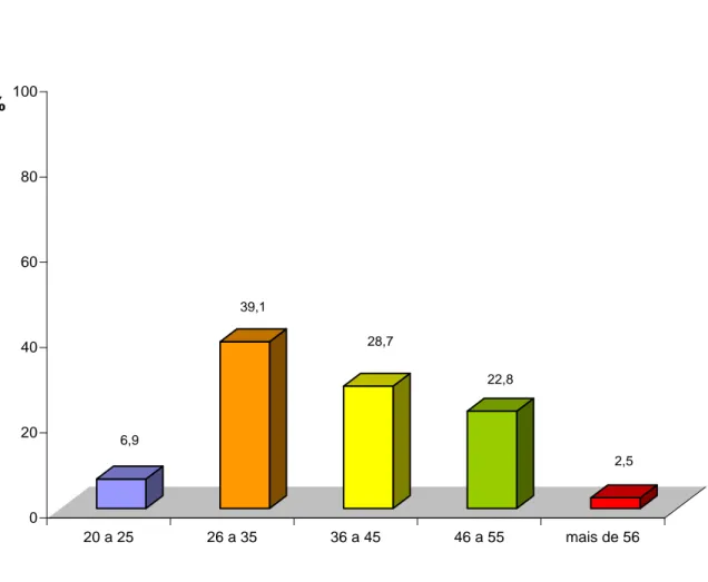 Gráfico 2. Distribuição da amostra por idade