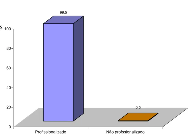 Gráfico 5. Distribuição da amostra por situação profissional 
