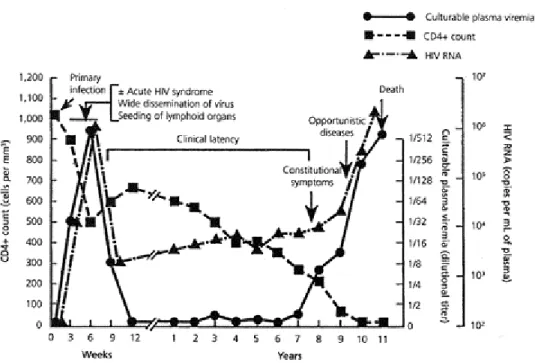 Figura 5 – Evolução da infecção pelo HIV-1. (www.niaid.nih.gov/publications/hivaids/9.htm) 