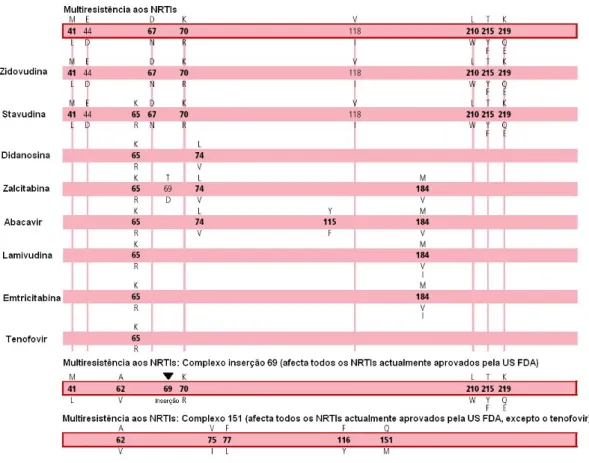 Figura  8  –  Mutações  no  gene  da  transcriptase  reversa  (RT)  associadas  à  resistência  a  inibidores  nucleósidos/nucleótidos  da  RT  (NRTIs)