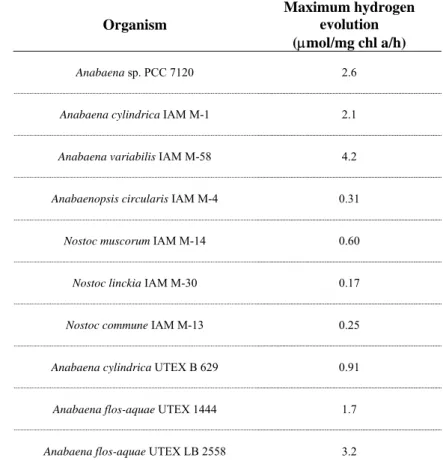 Table 3. Comparative study of hydrogen production in some heterocystous cyanobacteria