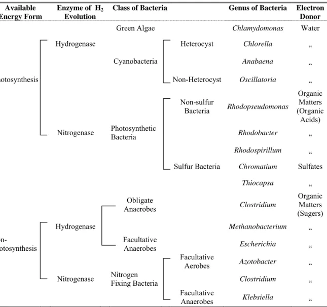 Table 1. Classification of hydrogen producing bacteria. Taken from [3]. 