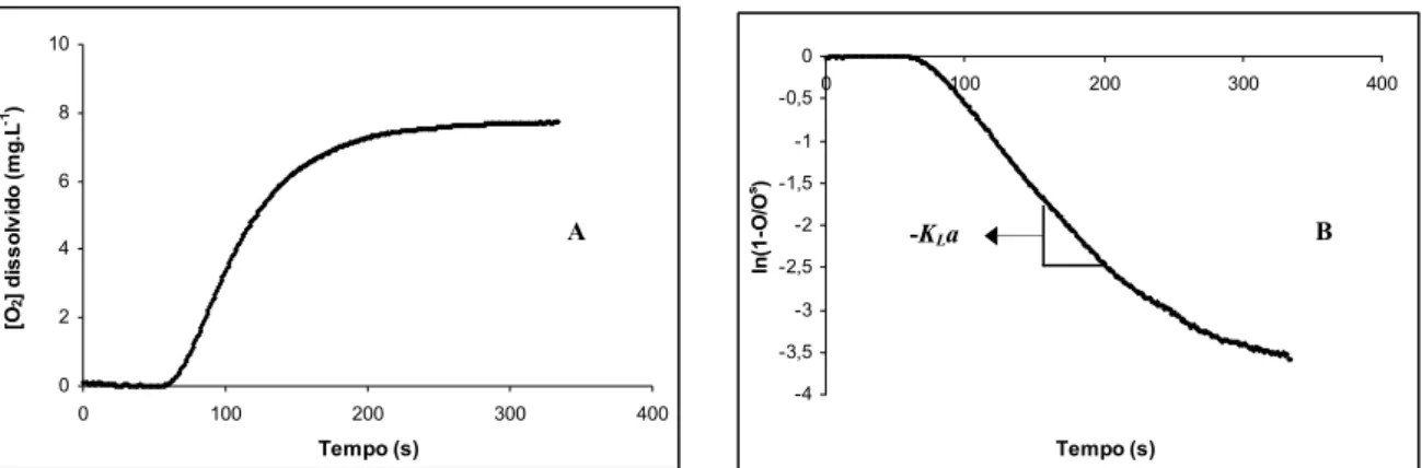 Figura 3.4 – Evolução da concentração de oxigénio dissolvido no meio sem células após re-arejamento (A)  e representação logarítmica de 