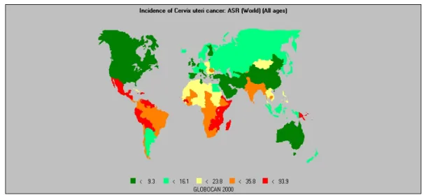 Figura 6 – Incidência do cancro do colo do útero no mundo em 2000 (adaptado  de Parkin 2001)