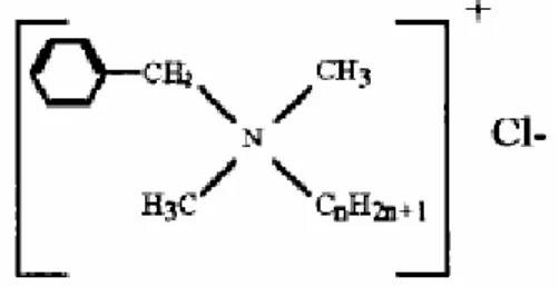 Figura 2.2- Estrutura química do cloreto de benzalcónio - BAC (adaptado de McDonnell et  al., 1999) 