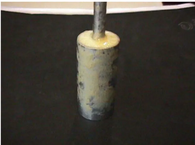 Figura 3.4- Fotografia de um dos cilindros de aço inox com biofilme desenvolvido durante 5  dias (Cortesia Manuel Simões)  