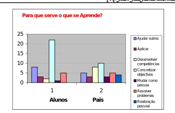 Gráfico nº 5 -   Dimensão 5 - Função 