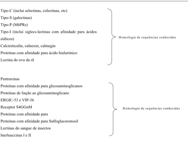 Tabela 4 – Classes e famílias de lectinas animais (adaptado de Varki, 1999).