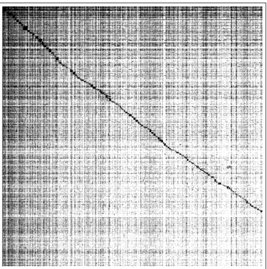 Figure 3.3: First 1000 × 1000 elements of the sparse matrix for the Bible alignment