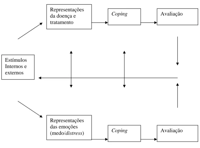 Figura 1. Modelo de Auto-Regulação de Leventhal (Adaptado de Leventhal, Leventhal &amp; Schaefer, 1991)