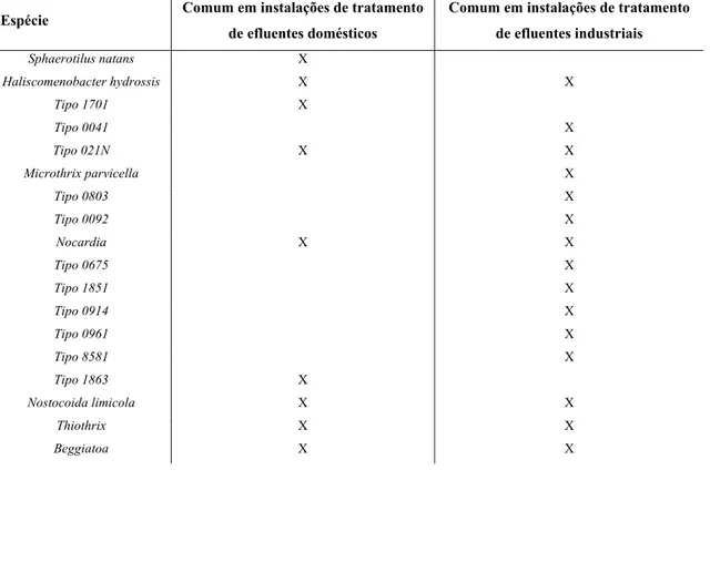 Tabela 2.1 -  Principais espécies de bactérias filamentosas responsáveis pelo fenómeno de bulking em instalações de  tratamento de efluentes domésticos ou industriais