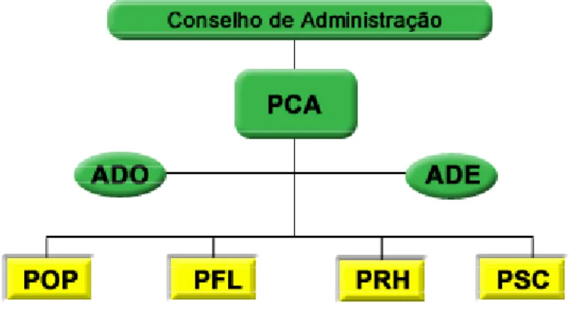 Figura 6: Organização da TDM
