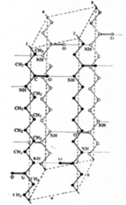 Figura 10. Cristal α, poliamida (17). 