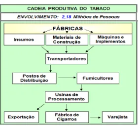 Figura 2 – Cadeia Produtiva do tabaco 