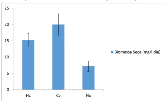 Figura 1 – Produtividade de biomassa seca em peso das três espécies 