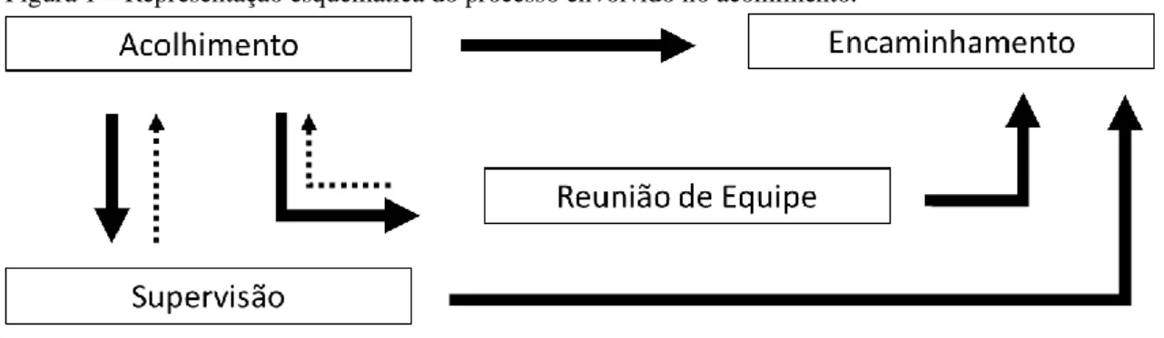 Figura 1 – Representação esquemática do processo envolvido no acolhimento. 