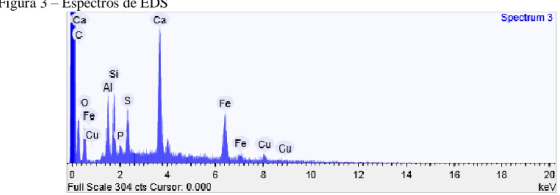 Figura 3 – Espectros de EDS 