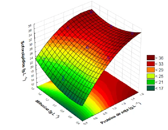Figura 1 – Superfície de resposta relacionando as fontes de nitrogênio proteína de soja e milhocina para a produção de  soforolipídios por Starmerella bombicola (g.L -1 )