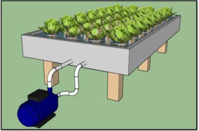 Figura 2. Modelo de cultivo na água profunda ou floating. 