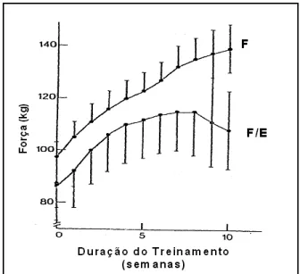 FIGURA 3 – MEDIDAS DE FORÇA NOS GRUPOS TREINADOS EM FORÇA (F) E FORÇA MAIS ENDURANCE (F/E) (ADAPTADO DE HICKSON, 1980)